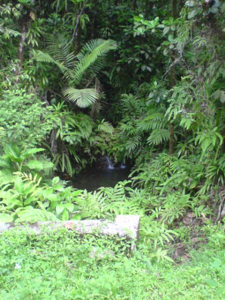 plan Rivi�re guadeloupe